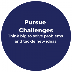 Pursue Challenges Pursue Challenges